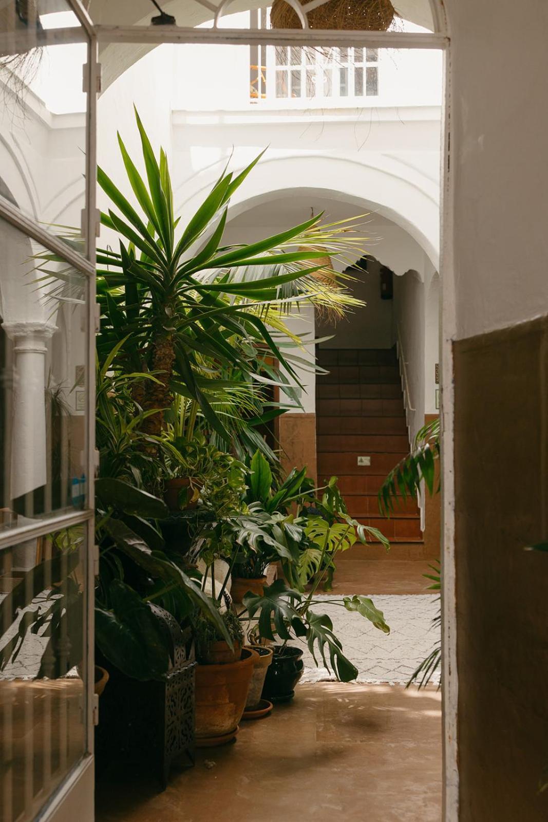 Hostal Africa Tarifa Exterior foto